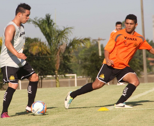 Tigre faz trabalho de movimentação no CT