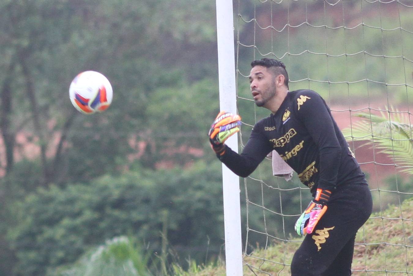 Tigre faz treino técnico e de força